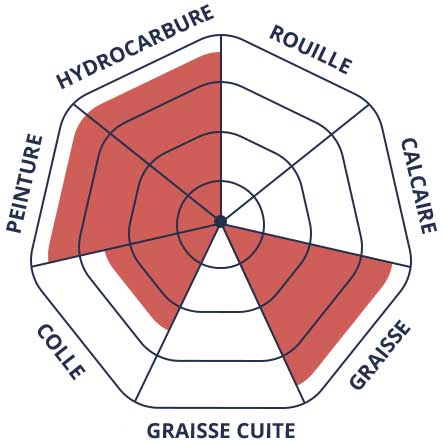 DOMAINE D’EFFICACITÉ : PEINTURE, HYDROCARBURE, GRAISSE, COLLE