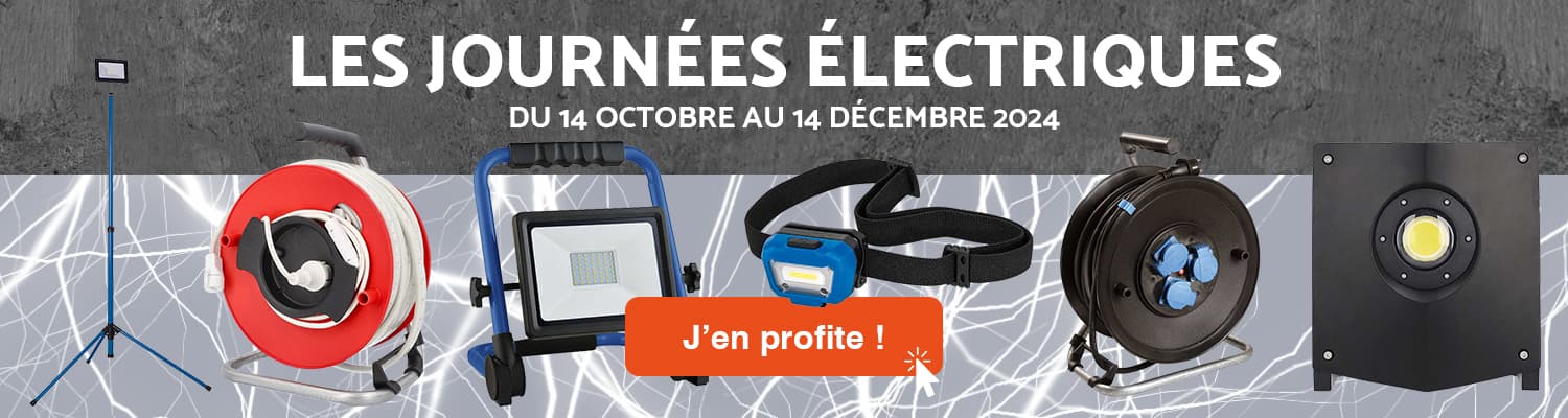 Les journées électriques